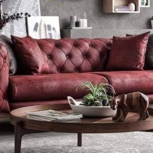 Drawing Room Sofa 96